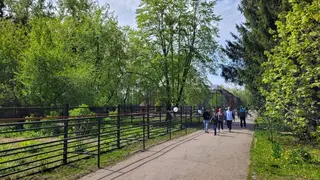 Единственный в России сельский зоопарк отметил 40‑летие в Омской области Единственный в России сельский зоопарк отметил 40‑летие в Омской области