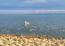 Алтай и Байкал вошли в топ лучших туристических мест России