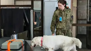 Сибирские таможенники выявили более 31 тысячи контрафактных товаров Сибирские таможенники выявили более 31 тысячи контрафактных товаров