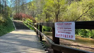 Восточный вход «Красноярских Столбов» закроют с 11 сентября из‑за угрозы выхода медведей Восточный вход «Красноярских Столбов» закроют с 11 сентября из‑за угрозы выхода медведей