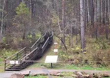 Два маленьких брата, пропавшие на правобережье Красноярска, найдены