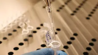 Наукой в Красноярском крае занимаются 4,3 тысячи учёных-исследователей Наукой в Красноярском крае занимаются 4,3 тысячи учёных-исследователей