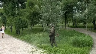 Наркосодержащие растения уничтожают в Красноярске Наркосодержащие растения уничтожают в Красноярске