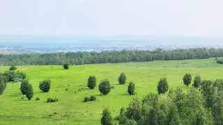 Волна жары накроет Красноярск в субботу Волна жары накроет Красноярск в субботу