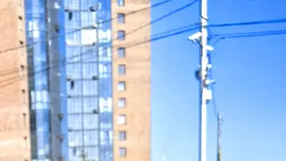 На месте ремонта труб в Красноярске выросло растение, похожее на коноплю На месте ремонта труб в Красноярске выросло растение, похожее на коноплю