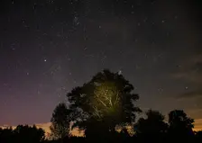 Гороскоп на 16 марта