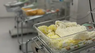 412 малышей родилось в июле в Краевом перинатальном центре 412 малышей родилось в июле в Краевом перинатальном центре
