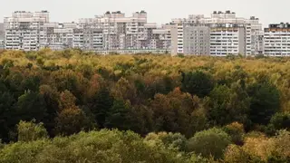 Пропавших в Балахтинско-Новосёловском округе девочек нашли живыми Пропавших в Балахтинско-Новосёловском округе девочек нашли живыми