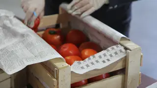 Роспотребнадзор напомнил красноярцам о пользе и рисках помидоров Роспотребнадзор напомнил красноярцам о пользе и рисках помидоров