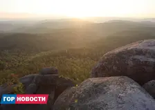 Когда закончатся выходы медведей в Красноярск? Рассказывает эксперт