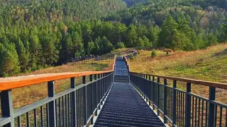 В Красноярске из-за медведей закрыта самая длинная в России лестница В Красноярске из-за медведей закрыта самая длинная в России лестница
