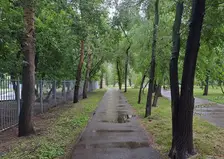 Дожди и небольшой ветер снова придут в Красноярск 11 июля