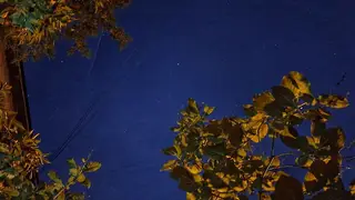 Гороскоп на 12 августа Гороскоп на 12 августа