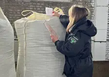 Красноярский край бьет рекорды по экспорту кормовой продукции