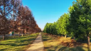 Пара из Москвы добралась до Читы на 253‑й день пешего пути Пара из Москвы добралась до Читы на 253‑й день пешего пути