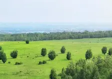 Жара отступает не везде: прогноз погоды в Сибири на июль