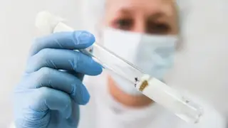 Более 15 тысяч жителей Красноярского края пострадали от укусов клещей с начала сезона Более 15 тысяч жителей Красноярского края пострадали от укусов клещей с начала сезона