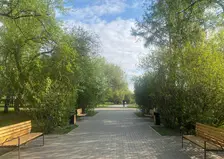 В понедельник в Красноярске будет +27° и солнечно — лето не отступает