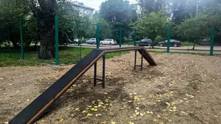 Четыре обустроенные площадки для выгула собак появятся в 2026 году в Советском районе Красноярска Четыре обустроенные площадки для выгула собак появятся в 2026 году в Советском районе Красноярска