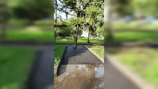 Дерево в асфальте: глава Красноярска раскритиковал работу подрядчиков, «заковавших» дерево в асфальт Дерево в асфальте: глава Красноярска раскритиковал работу подрядчиков, «заковавших» дерево в асфальт