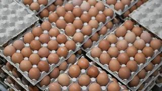 Красноярцам рассказали, чем полезны яйца и как есть их без риска для здоровья Красноярцам рассказали, чем полезны яйца и как есть их без риска для здоровья