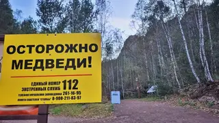 За визит на закрытые из-за медведей «Красноярские Столбы» будут штрафовать За визит на закрытые из-за медведей «Красноярские Столбы» будут штрафовать