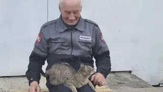 Церковный кот пропал в храме Рождества Христова города Красноярска Церковный кот пропал в храме Рождества Христова города Красноярска