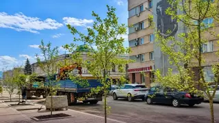 На трёх центральных улицах Красноярска высадят почти 2000 растений На трёх центральных улицах Красноярска высадят почти 2000 растений