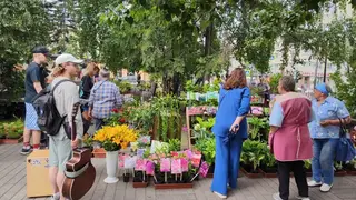 Палитра летней тени: как прошла июльская выставка цветов в сквере им. Пушкина Палитра летней тени: как прошла июльская выставка цветов в сквере им. Пушкина