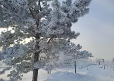 Жителей Красноярского края предупреждают о морозах до -45 и ниже