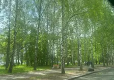 В Красноярск придёт жара: в среду, 24 июня воздух прогреется до +30°