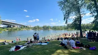 Красноярцам запретили купаться во всех трёх водоёмах на острове Татышев из-за обилия микробов Красноярцам запретили купаться во всех трёх водоёмах на острове Татышев из-за обилия микробов