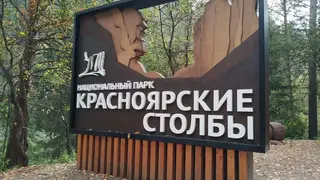 Мужчину с травмой головы срочно эвакуировали со «Столбов» в Красноярске Мужчину с травмой головы срочно эвакуировали со «Столбов» в Красноярске