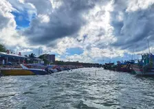 Японского морского судака впервые этим летом поймали у берегов Приморья