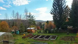 Красноярцам дали 6 советов, как защитить здоровье на даче Красноярцам дали 6 советов, как защитить здоровье на даче