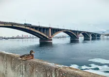 И снова мороз. Красноярцев в воскресенье ждёт резкое похолодание и сильный ветер