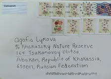 Американка прислала письмо Агафье Лыковой