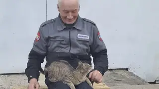 Церковный кот пропал в храме Рождества Христова города Красноярска Церковный кот пропал в храме Рождества Христова города Красноярска
