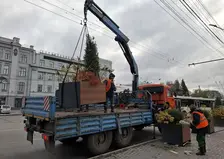Мобильные кашпо с одной из улиц Омска отправят на зимовку