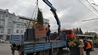 Мобильные кашпо с одной из улиц Омска отправят на зимовку Мобильные кашпо с одной из улиц Омска отправят на зимовку